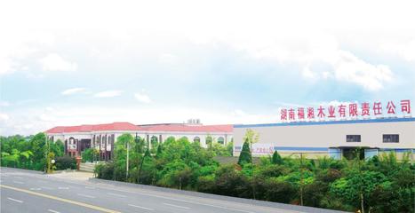 51除醛時代，揭秘家裝“秘密”武器 生態(tài)建材