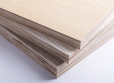 西林木業 點滴關愛，從我做起，共筑綠色家園